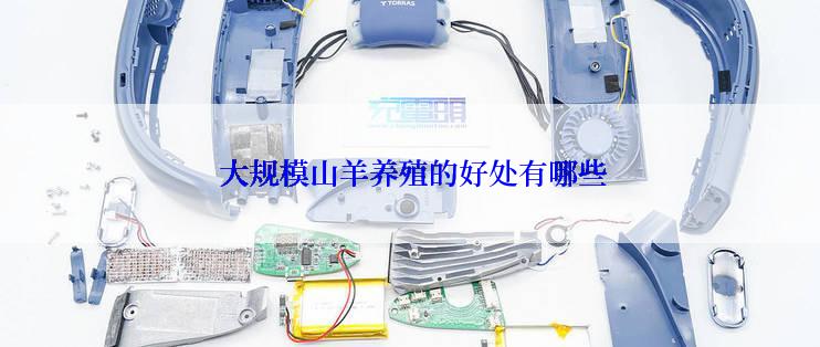  大规模山羊养殖的好处有哪些