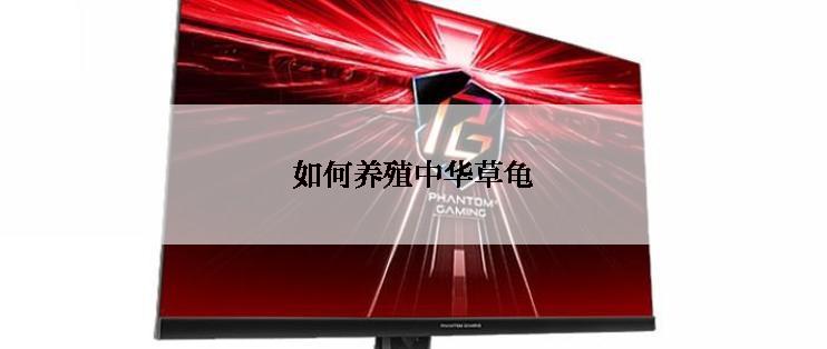 如何养殖中华草龟