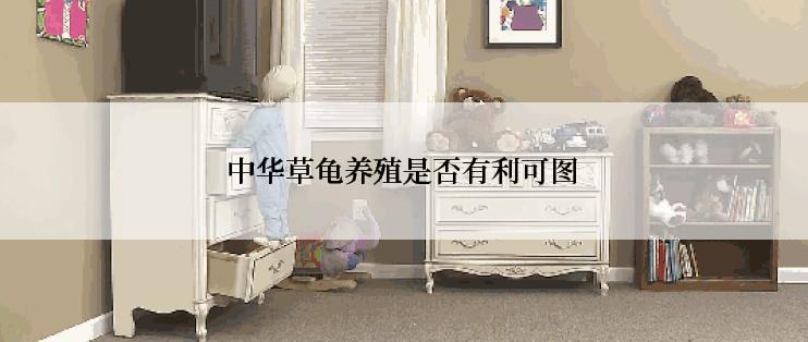 中华草龟养殖是否有利可图