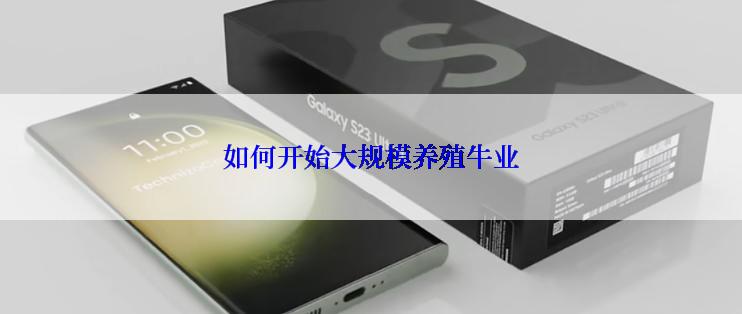 如何开始大规模养殖牛业