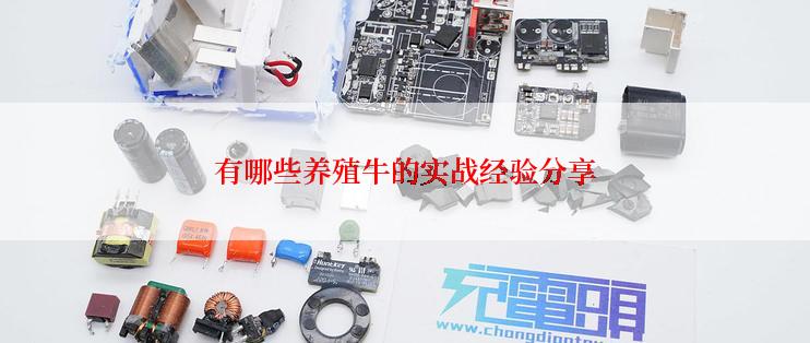 有哪些养殖牛的实战经验分享