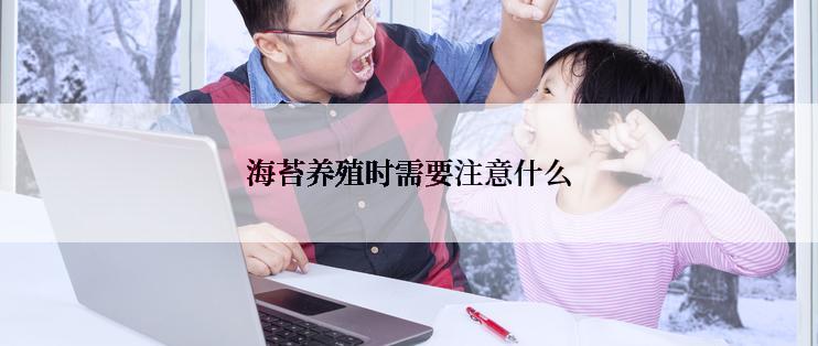 海苔养殖时需要注意什么