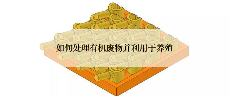 如何处理有机废物并利用于养殖