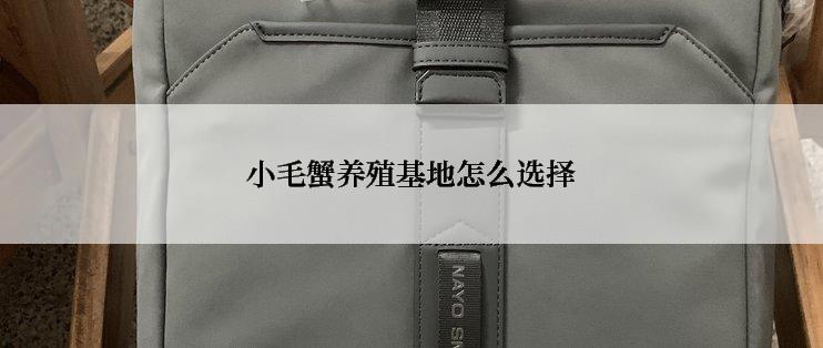 小毛蟹养殖基地怎么选择