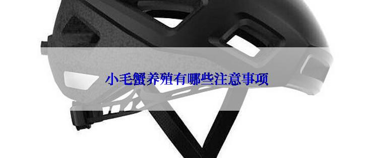 小毛蟹养殖有哪些注意事项