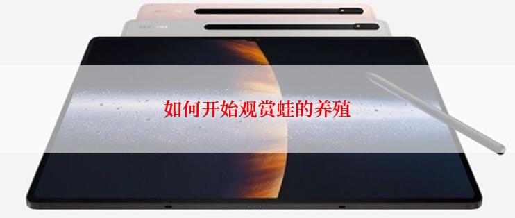 如何开始观赏蛙的养殖