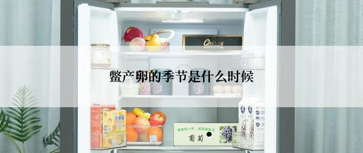 鳖产卵的季节是什么时候