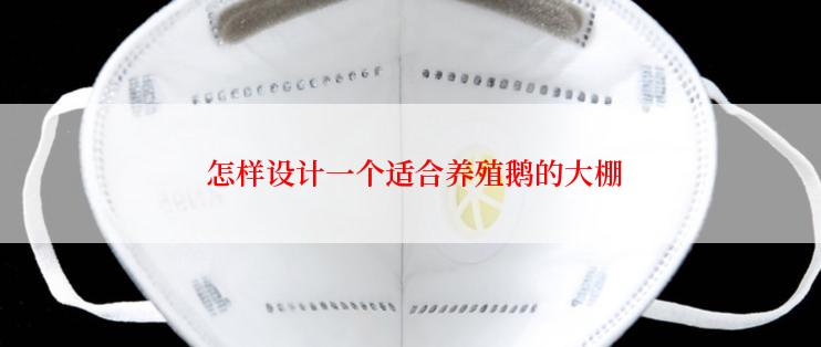  怎样设计一个适合养殖鹅的大棚