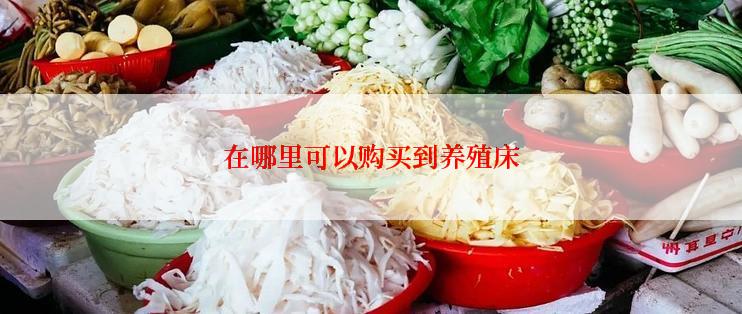 在哪里可以购买到养殖床