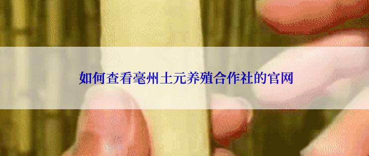  如何查看毫州土元养殖合作社的官网