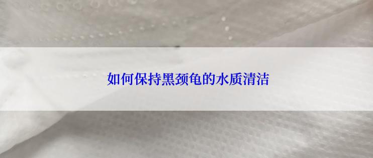  如何保持黑颈龟的水质清洁