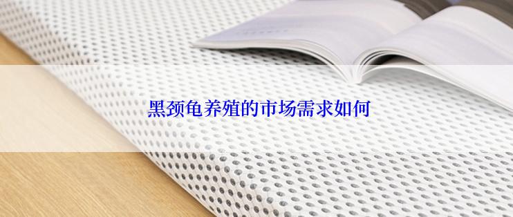 黑颈龟养殖的市场需求如何