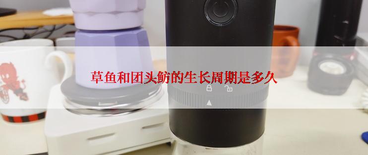 草鱼和团头鲂的生长周期是多久