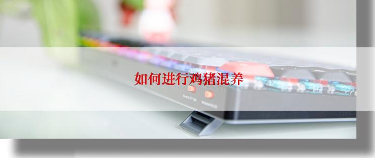  如何进行鸡猪混养