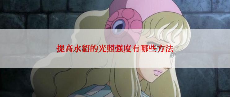 提高水貂的光照强度有哪些方法
