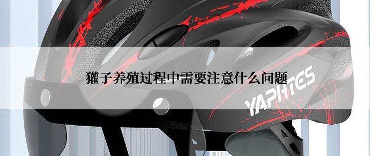  獾子养殖过程中需要注意什么问题