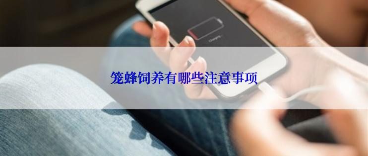 笼蜂饲养有哪些注意事项