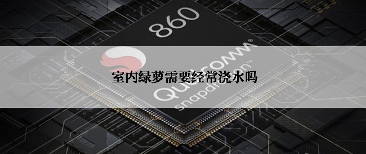  室内绿萝需要经常浇水吗