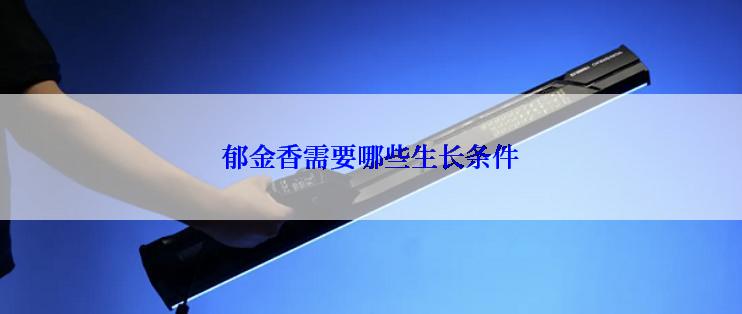 郁金香需要哪些生长条件