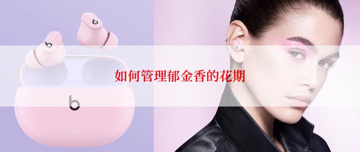 如何管理郁金香的花期