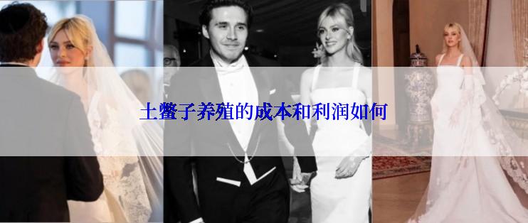 土鳖子养殖的成本和利润如何