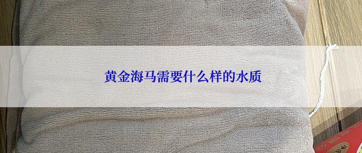  黄金海马需要什么样的水质