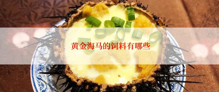 黄金海马的饲料有哪些