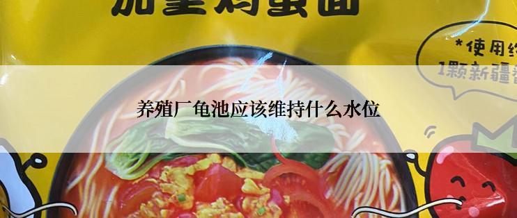 养殖厂龟池应该维持什么水位