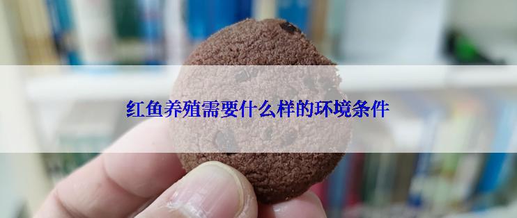 红鱼养殖需要什么样的环境条件