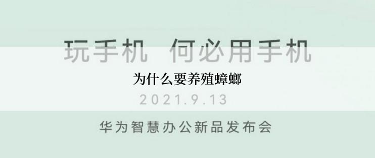 为什么要养殖蟑螂