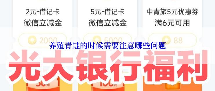 养殖青蛙的时候需要注意哪些问题