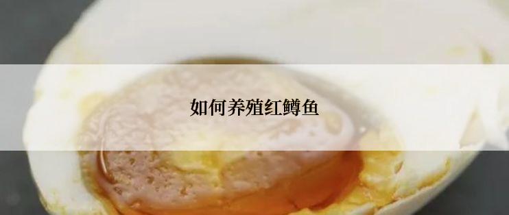 如何养殖红鳟鱼
