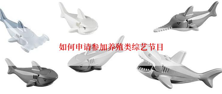 如何申请参加养殖类综艺节目