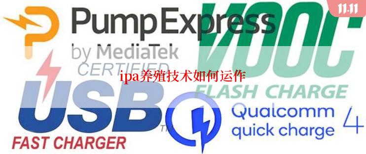 ipa养殖技术如何运作