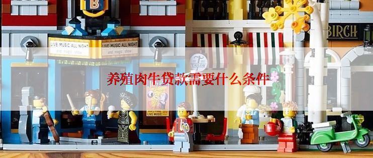  养殖肉牛贷款需要什么条件