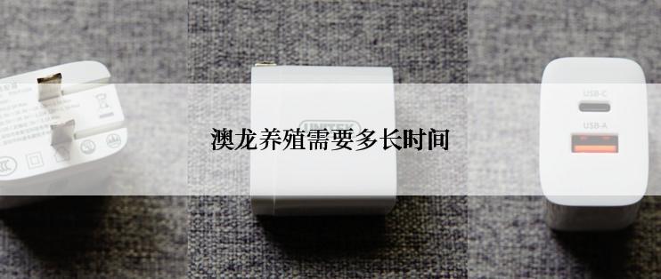 澳龙养殖需要多长时间