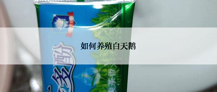 如何养殖白天鹅
