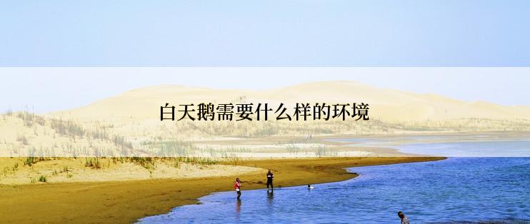 白天鹅需要什么样的环境