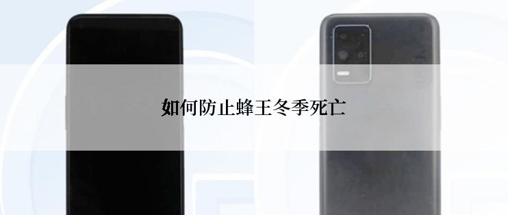 如何防止蜂王冬季死亡