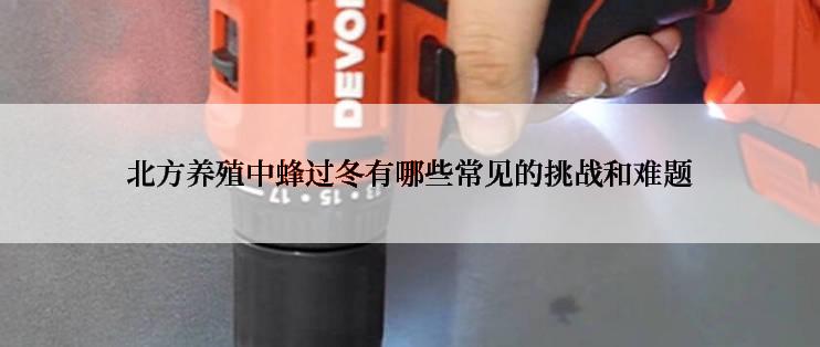 北方养殖中蜂过冬有哪些常见的挑战和难题