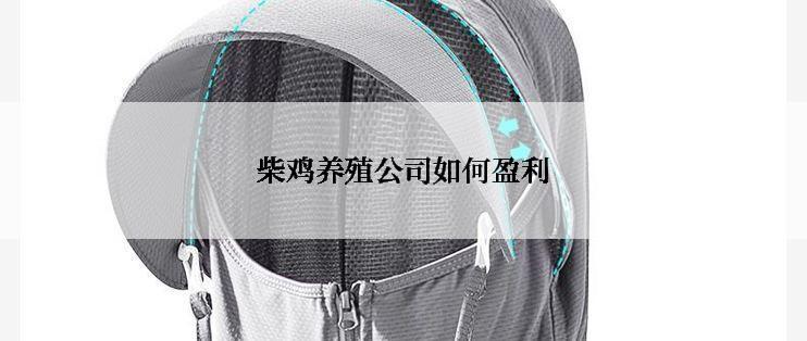 柴鸡养殖公司如何盈利