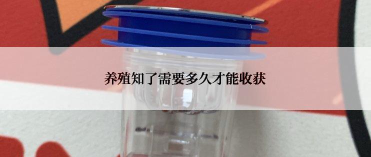 养殖知了需要多久才能收获