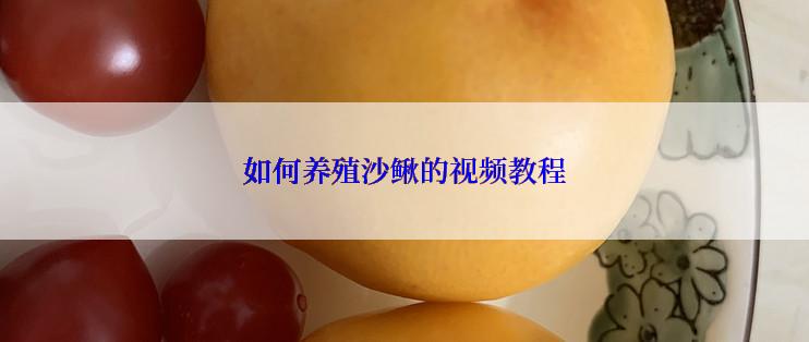 如何养殖沙鳅的视频教程