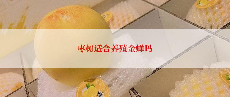 枣树适合养殖金蝉吗