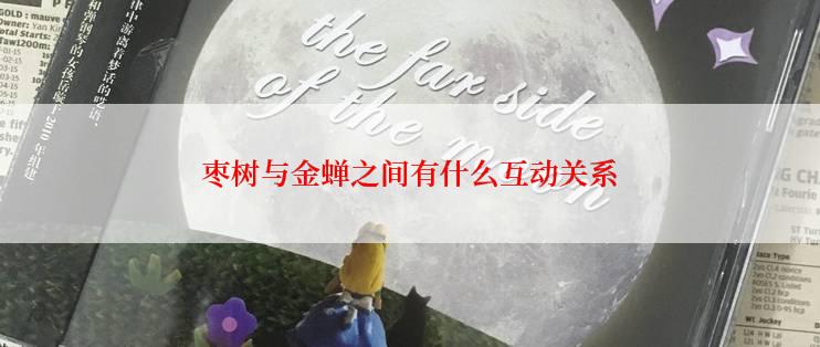 枣树与金蝉之间有什么互动关系