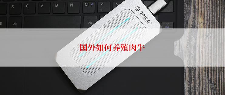 国外如何养殖肉牛