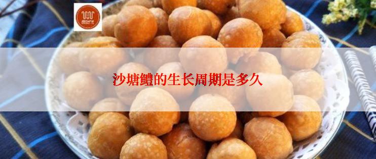 沙塘鳢的生长周期是多久