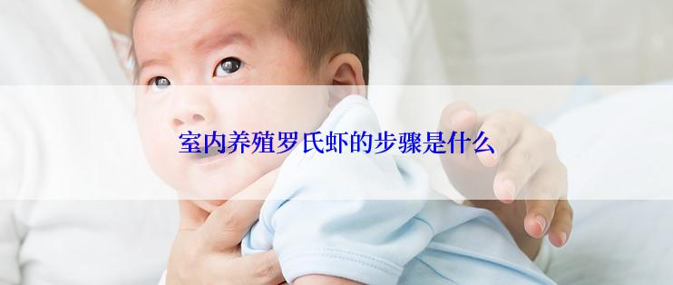室内养殖罗氏虾的步骤是什么