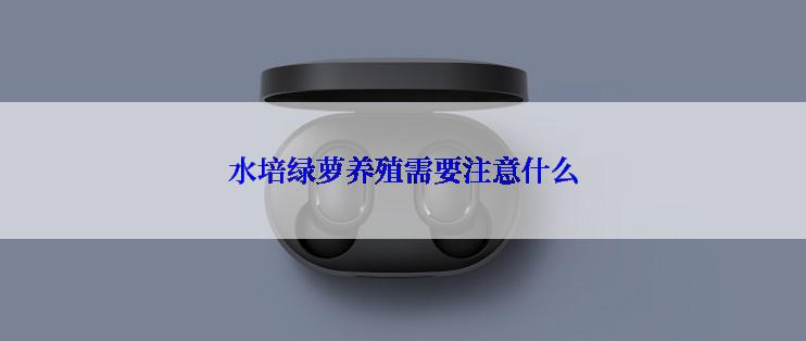 水培绿萝养殖需要注意什么