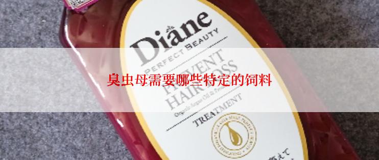 臭虫母需要哪些特定的饲料